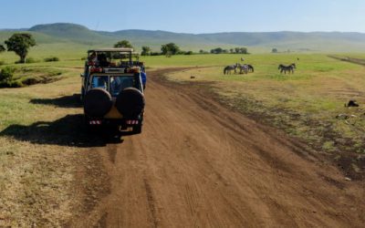 5 unforgettable safari holidays