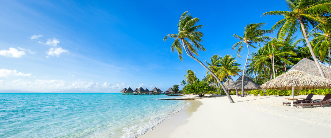 5 Winter Sun ideas for 2024