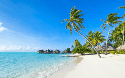 5 Winter Sun ideas for 2024