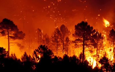 Can I cancel my Greece holiday and does Travel Insurance cover wildfires?