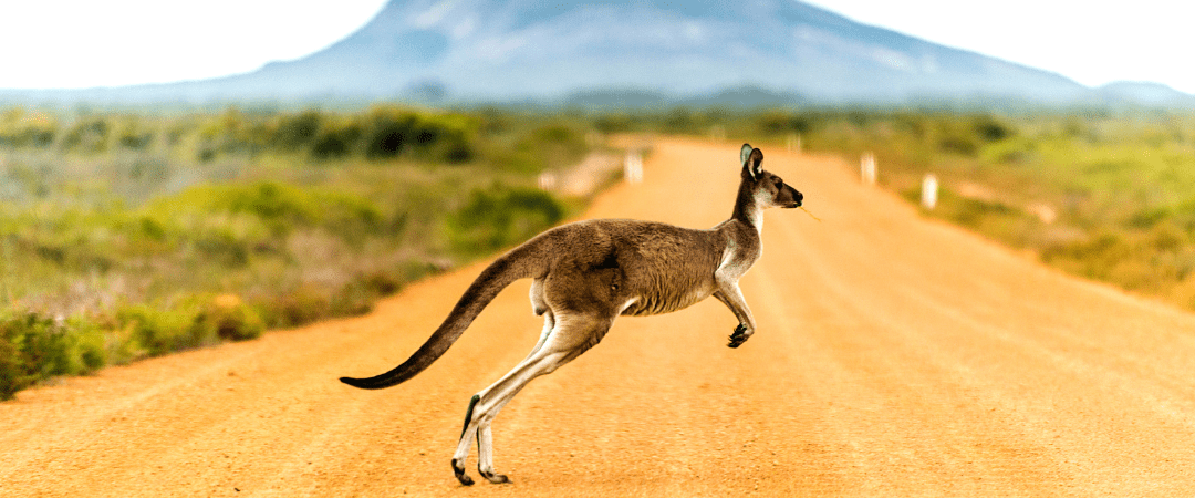 Celebrating Australia Day 2024