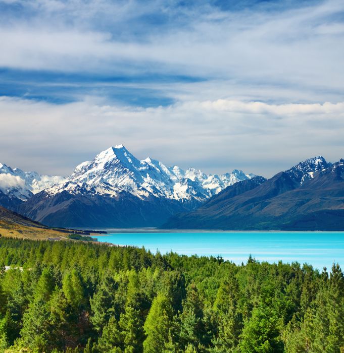 BRF - New Zealand