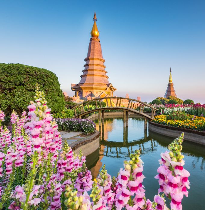 BRF - Thailand (1)