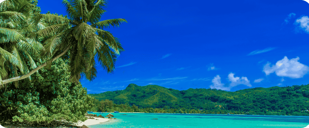 Where Brits Are Travelling This Winter: The Top Winter Sun Destinations for 2025