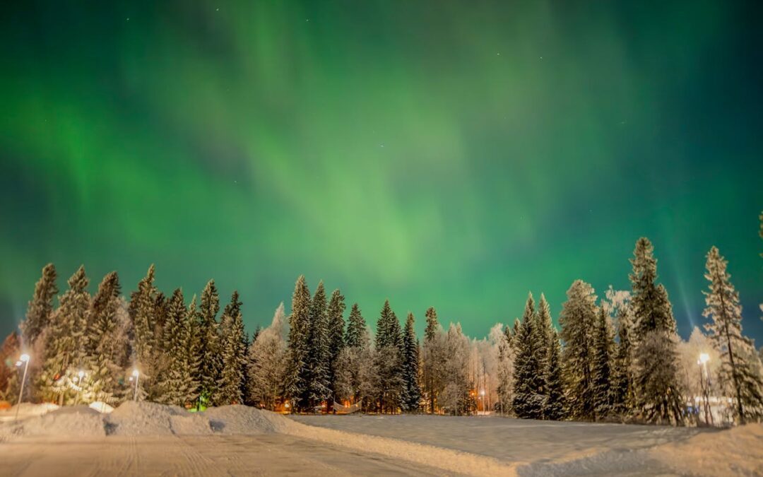 Festive Travel Search Trends: The Top Cities Getting Into the Christmas Spirit This Year