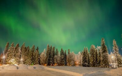 Festive Travel Search Trends: The Top Cities Getting Into the Christmas Spirit This Year